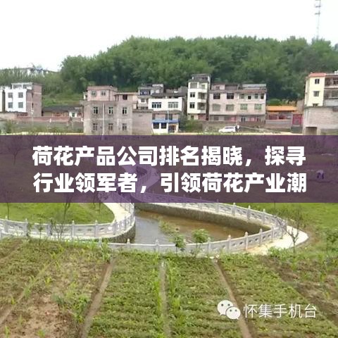 荷花产品公司排名揭晓，探寻行业领军者，引领荷花产业潮流