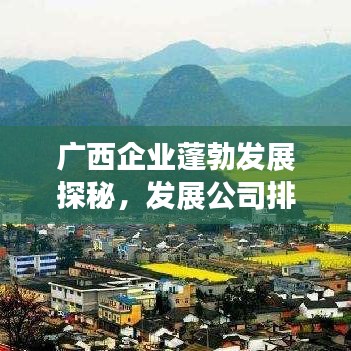 广西企业蓬勃发展探秘，发展公司排名及前景展望