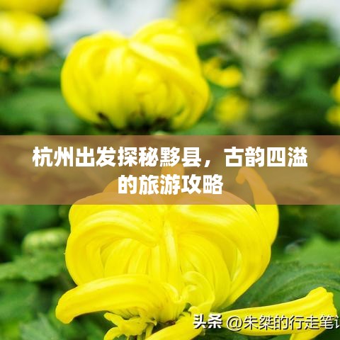 杭州出发探秘黟县，古韵四溢的旅游攻略
