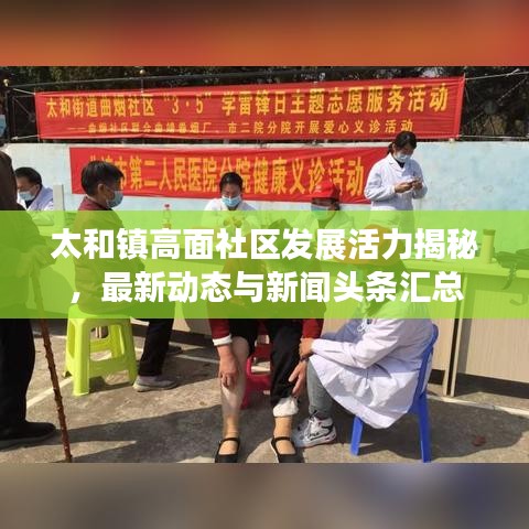 太和镇高面社区发展活力揭秘，最新动态与新闻头条汇总