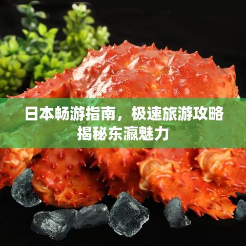 日本畅游指南，极速旅游攻略揭秘东瀛魅力