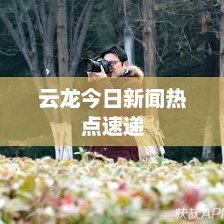 云龙今日新闻热点速递