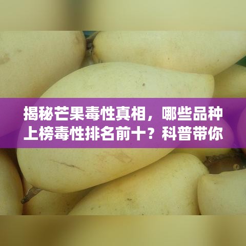 2025年6月26日 第43页