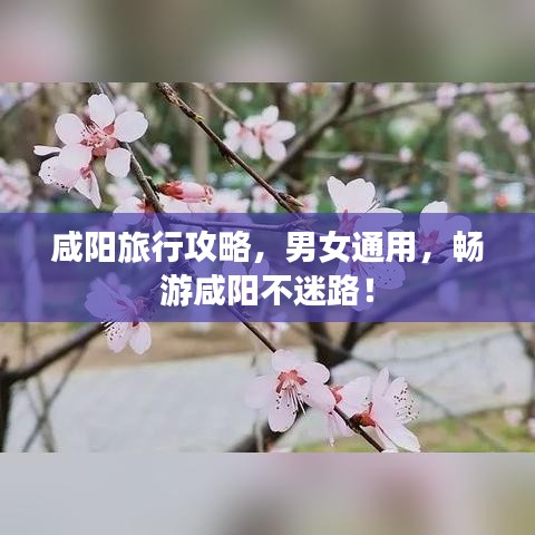 咸阳旅行攻略，男女通用，畅游咸阳不迷路！