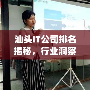 汕头IT公司排名揭秘，行业洞察与深度分析