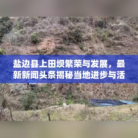盐边县上田坝繁荣与发展，最新新闻头条揭秘当地进步与活力