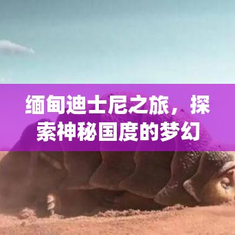 缅甸迪士尼之旅，探索神秘国度的梦幻探险攻略
