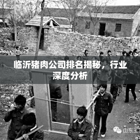 临沂猪肉公司排名揭秘，行业深度分析