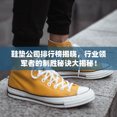 鞋垫公司排行榜揭晓，行业领军者的制胜秘诀大揭秘！