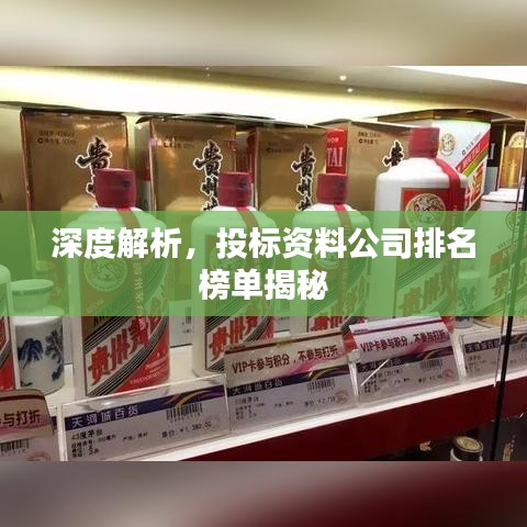 深度解析，投标资料公司排名榜单揭秘