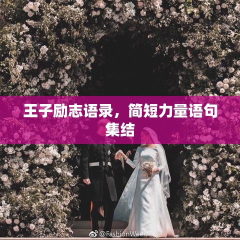 王子励志语录，简短力量语句集结