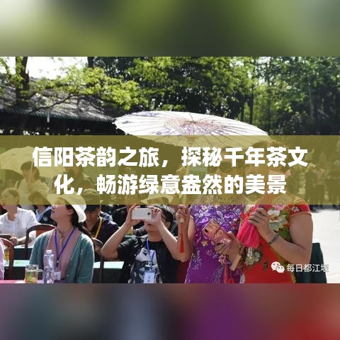 信阳茶韵之旅，探秘千年茶文化，畅游绿意盎然的美景