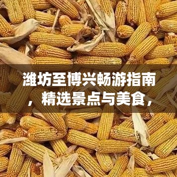 潍坊至博兴畅游指南，精选景点与美食，轻松规划旅程！