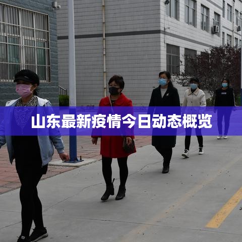 山东最新疫情今日动态概览