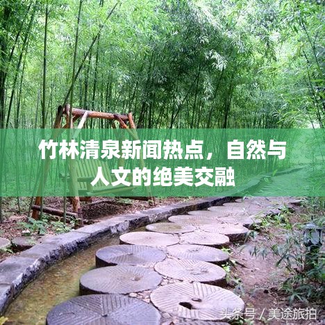 竹林清泉新闻热点，自然与人文的绝美交融