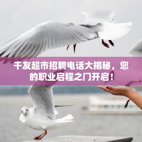 千友超市招聘电话大揭秘，您的职业启程之门开启！