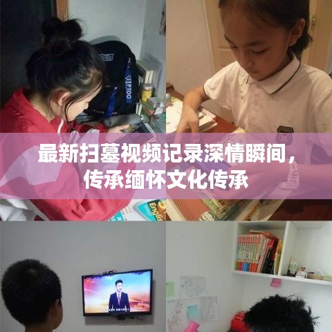 最新扫墓视频记录深情瞬间，传承缅怀文化传承