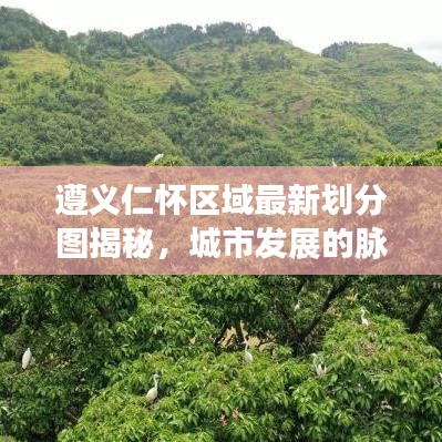 遵义仁怀区域最新划分图揭秘，城市发展的脉络与未来展望