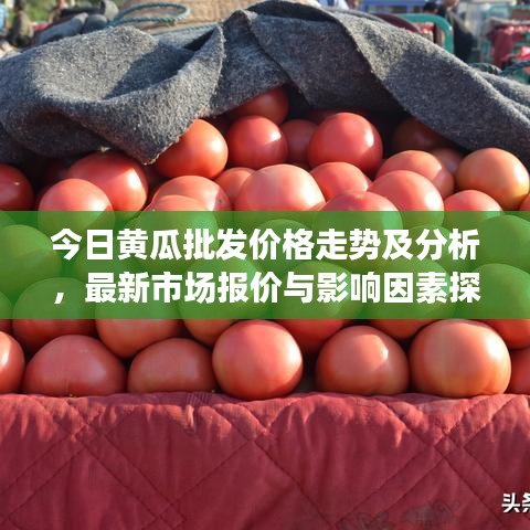 今日黄瓜批发价格走势及分析，最新市场报价与影响因素探讨