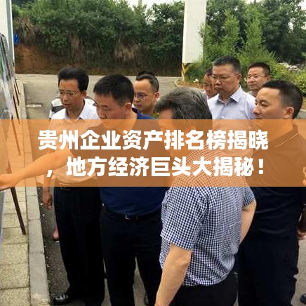 贵州企业资产排名榜揭晓，地方经济巨头大揭秘！