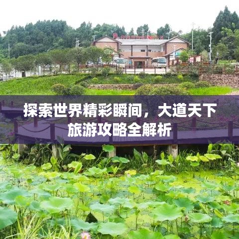 探索世界精彩瞬间，大道天下旅游攻略全解析