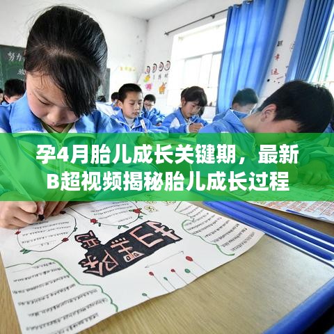 孕4月胎儿成长关键期，最新B超视频揭秘胎儿成长过程