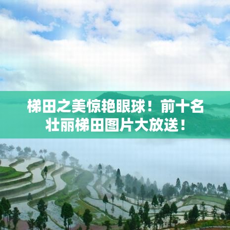 梯田之美惊艳眼球！前十名壮丽梯田图片大放送！