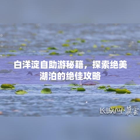 白洋淀自助游秘籍，探索绝美湖泊的绝佳攻略