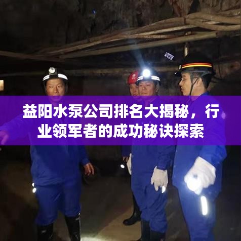 益阳水泵公司排名大揭秘，行业领军者的成功秘诀探索