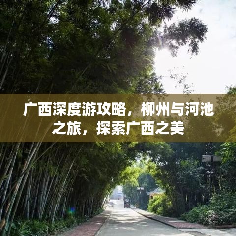 广西深度游攻略，柳州与河池之旅，探索广西之美