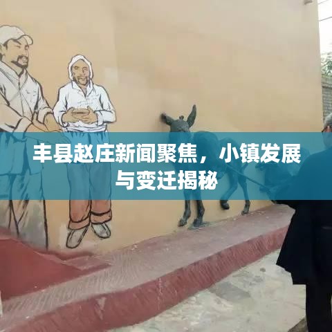 丰县赵庄新闻聚焦，小镇发展与变迁揭秘