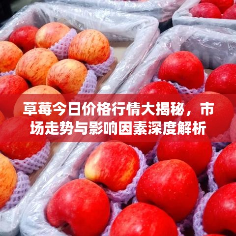 草莓今日价格行情大揭秘，市场走势与影响因素深度解析