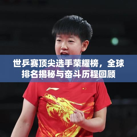 世乒赛顶尖选手荣耀榜，全球排名揭秘与奋斗历程回顾