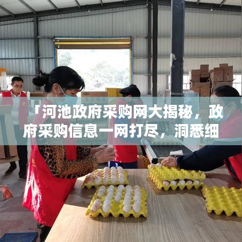 「河池政府采购网大揭秘，政府采购信息一网打尽，洞悉细节只需一键」