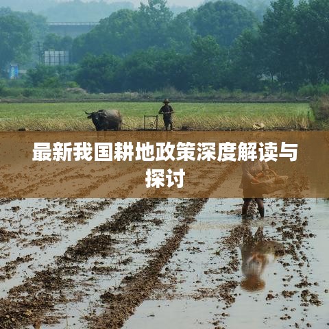 最新我国耕地政策深度解读与探讨