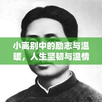 小离别中的励志与温暖，人生坚韧与温情同在语录经典