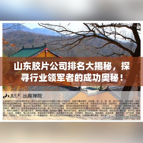 山东胶片公司排名大揭秘，探寻行业领军者的成功奥秘！