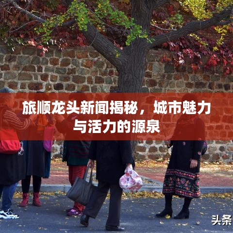 旅顺龙头新闻揭秘，城市魅力与活力的源泉