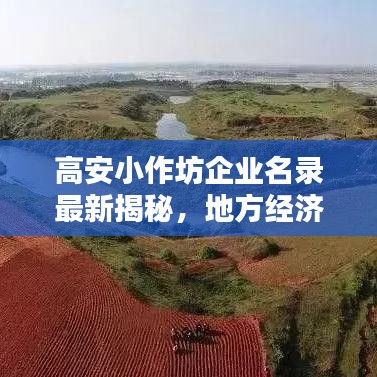 高安小作坊企业名录最新揭秘，地方经济活力之源探寻