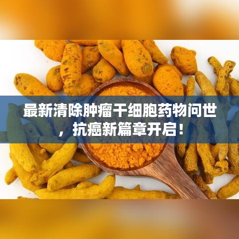 最新清除肿瘤干细胞药物问世，抗癌新篇章开启！