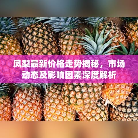 凤梨最新价格走势揭秘，市场动态及影响因素深度解析
