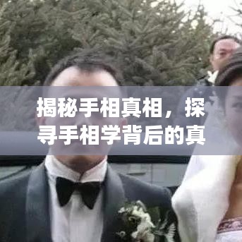 揭秘手相真相，探寻手相学背后的真实面貌，揭秘百度收录下的手相解读准确性
