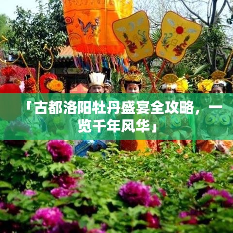 「古都洛阳牡丹盛宴全攻略，一览千年风华」