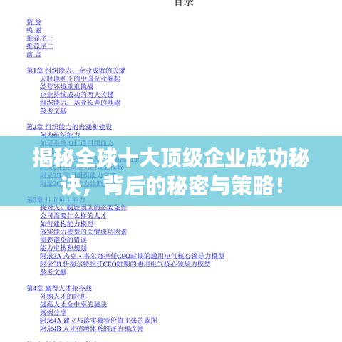 揭秘全球十大顶级企业成功秘诀，背后的秘密与策略！