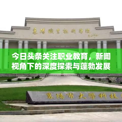 今日头条关注职业教育，新闻视角下的深度探索与蓬勃发展