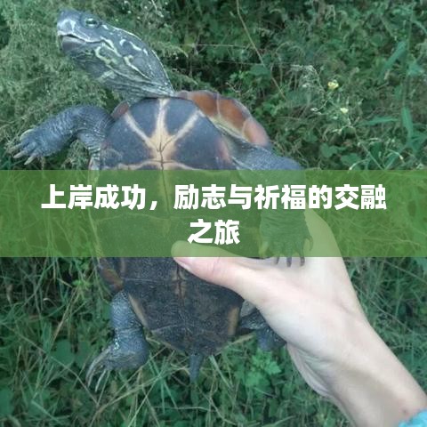 上岸成功，励志与祈福的交融之旅