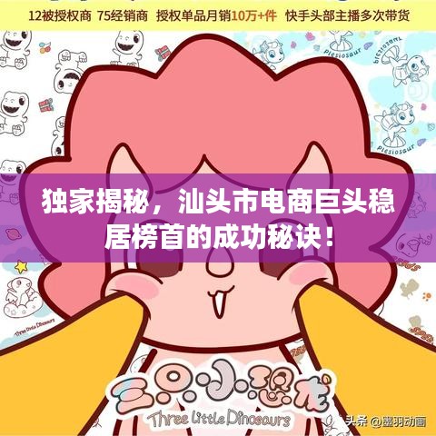 独家揭秘，汕头市电商巨头稳居榜首的成功秘诀！