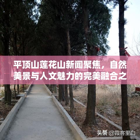 平顶山莲花山新闻聚焦，自然美景与人文魅力的完美融合之旅