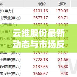 云维股份最新动态与市场反应深度解析
