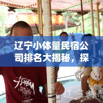 辽宁小体量民宿公司排名大揭秘，探寻地方住宿新风尚的魅力之旅